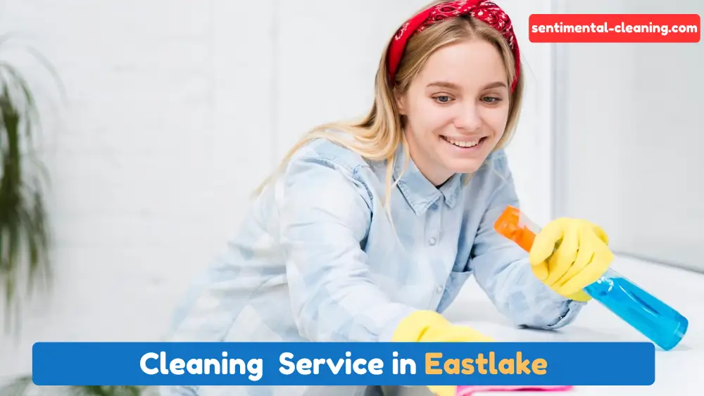 Eastlake Cleaning Services