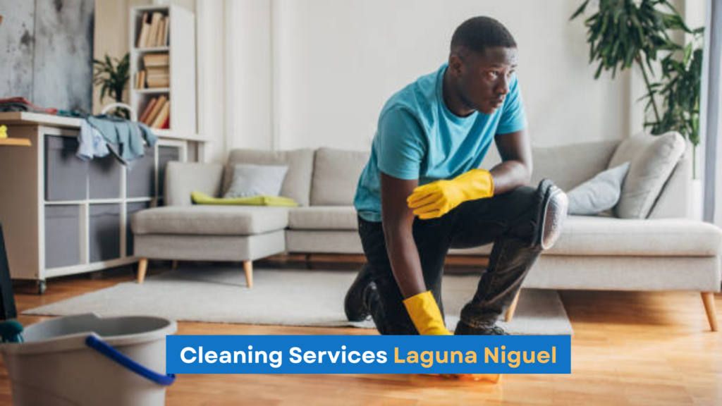 Laguna Niguel Park Cleaning Service