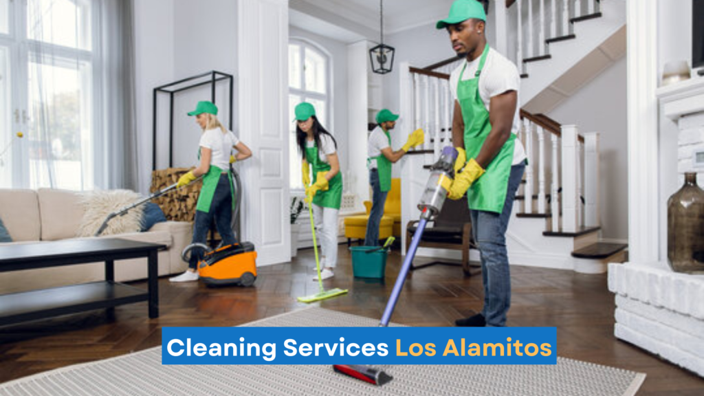 Los Alamitos Park Cleaning Service